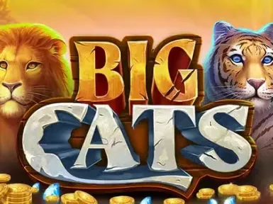 Vincispin Casino screenshot